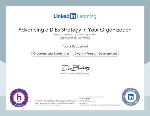Advancing a DIBs Strategy in Your Organization