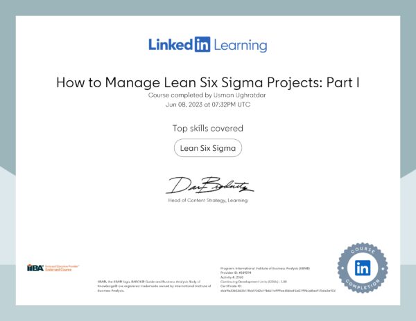 How to Manage Lean Six Sigma Projects Part I